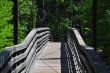 Swinging Suspended Bridge