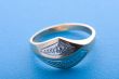Gold ring macro