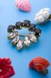 jewel brooch and earring