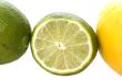 Lime and lemon macro
