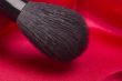 Black Brush