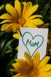 Happy Mothers Day