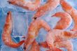 shrimp with ice