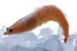 shrimp with ice on white background