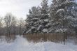 ski track in park