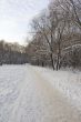 ski track in the winter park
