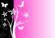 Colourful floral background