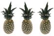 Three pineapple