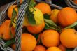Closeup Oranges and Lemons in the Basket
