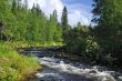 The river 