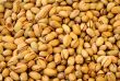 Closeup Pistachio Nuts