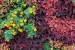 Design of Ground Covers