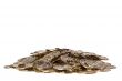 Pile of Coins
