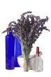 Alternative Medicine