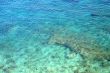 Reef in the Clear Water