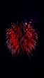 red flashing butterfly sparkling festival
