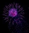 violet delight firework festival party