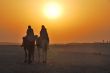 desert sun