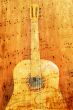 acoustic guitar