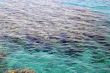 Reef in the Red Sea in Israel