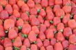 Closeup Strawberries on the Market