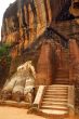 The Lion Mountain