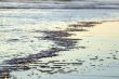 Beach Water