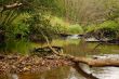 Shallow Waters