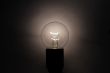 bulb