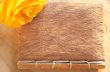 Yellow rose on a book