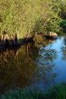 River in the Spring