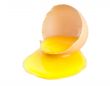 Broken egg isolated