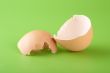Egg shell on a green background