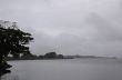 Gray Morning