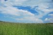 high field