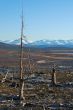 Not far away from a metallurgical factory