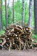 Firewood