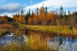 Autumn landscape.