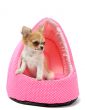puppy chihuahua