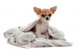 after bath