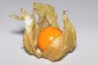 juicy physalis