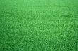 Grass background