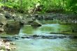 Stream in the woods