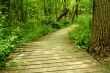 Wooden bridge in the woods