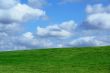 Field and cloudy sky