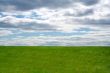Green field and blue sky