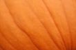 Pumpkin Background