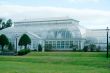 Greenhouse