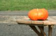 Pumkin on a table