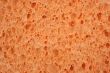 Orange sponge textured background